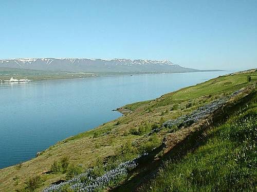 fjord Akureyri]