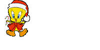 noel 141