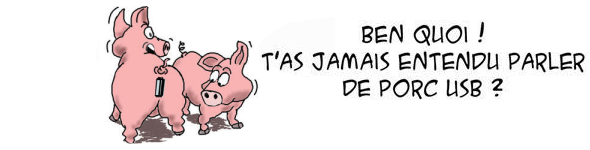 porc-usb.png