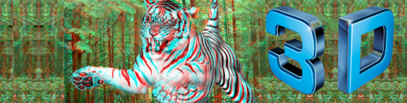 Image-3D.png
