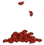 090926071647422800