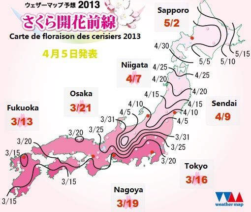 sakura blossom 2013 map